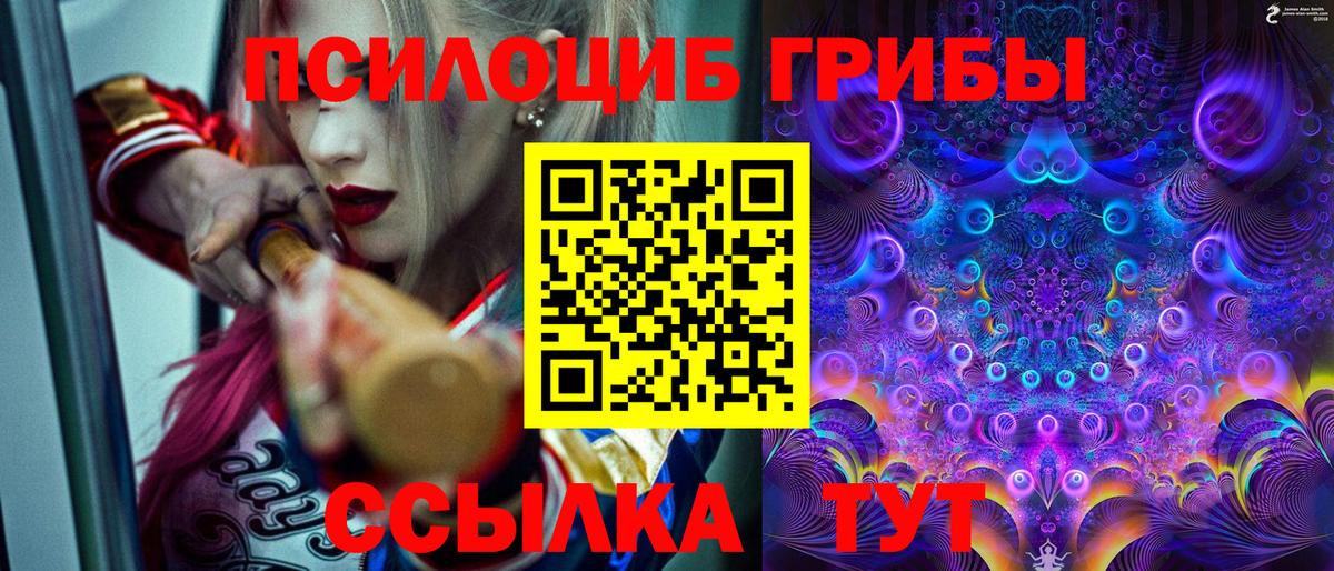 Псилоцибиновые грибы Psilocybe Бузулук