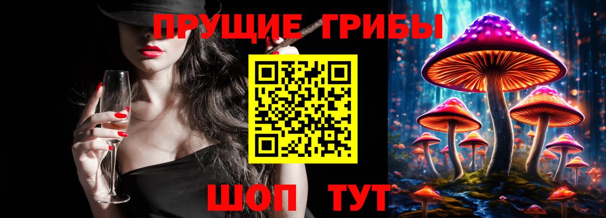Псилоцибиновые грибы MAGIC MUSHROOMS  Вход с VPN  Бузулук 